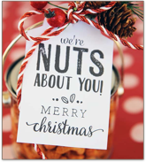Flavored Peanuts from Wakefield, Virginia