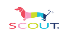 Scout Gift / Tote Bags