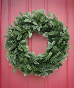 Noble Fir Wreath - 20 inch