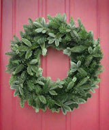 Noble Fir Wreath - 20 inch