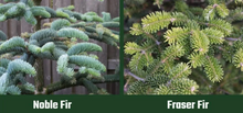 Noble Fir Mixed Wreath With Pinecones - 20 inch