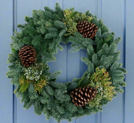 Noble Fir Mixed Wreath With Pinecones - 20 inch